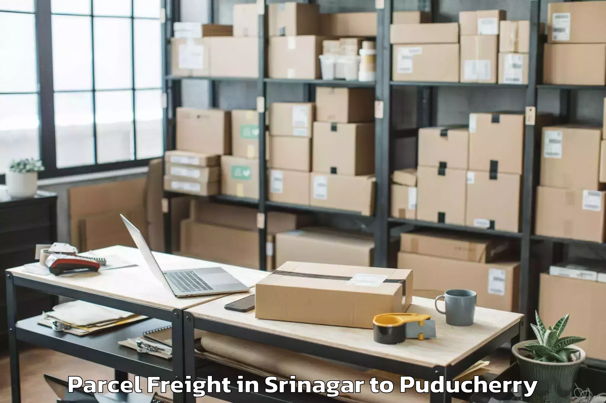 Top Srinagar to Pondicherry Parcel Freight Available